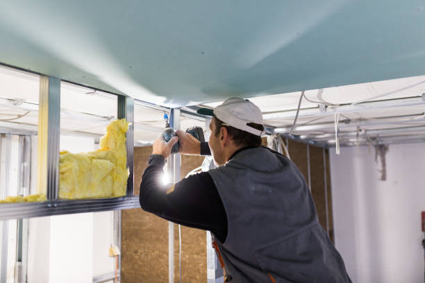 Best Insulation Installation Services in Dasher, GA
